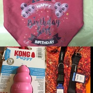 Cute Female Dog Birthday Set